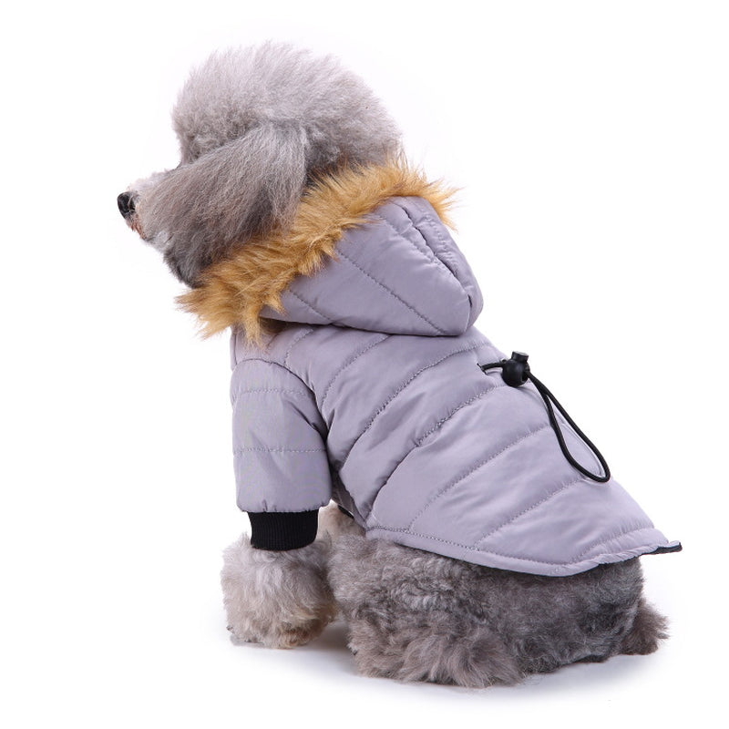 Cozy Winter Clothing for Your Beloved Pets