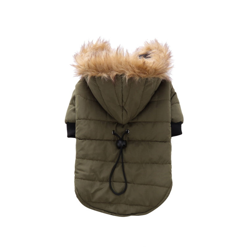 Cozy Winter Clothing for Your Beloved Pets