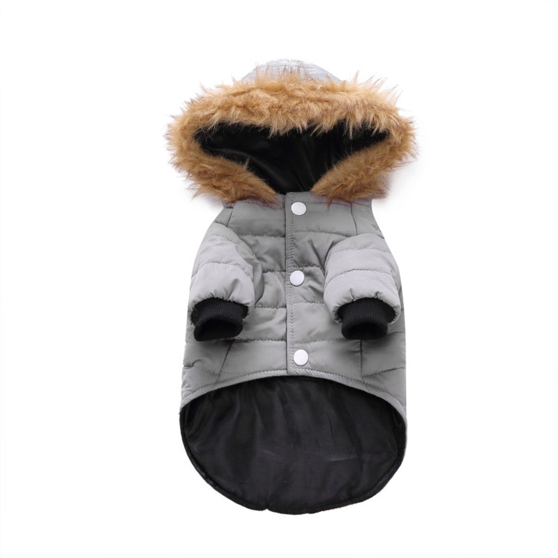 Cozy Winter Clothing for Your Beloved Pets