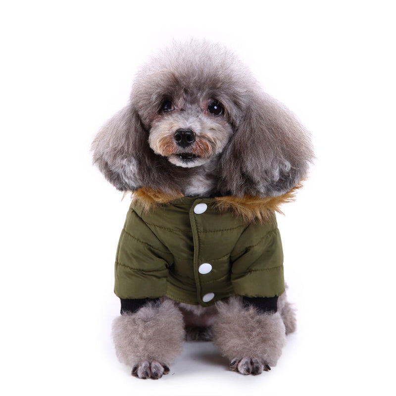 Cozy Winter Clothing for Your Beloved Pets
