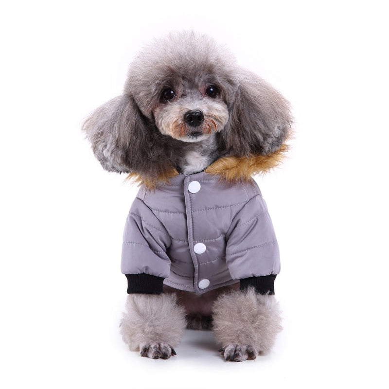 Cozy Winter Clothing for Your Beloved Pets