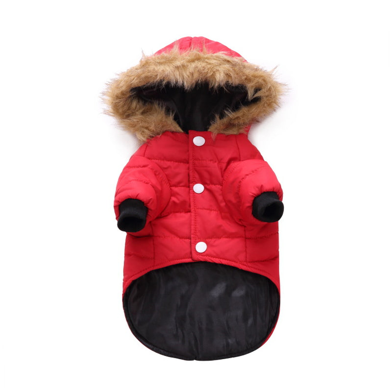 Cozy Winter Clothing for Your Beloved Pets