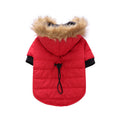 Cozy Winter Clothing for Your Beloved Pets