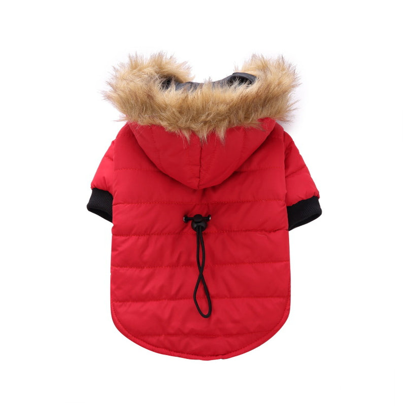 Cozy Winter Clothing for Your Beloved Pets