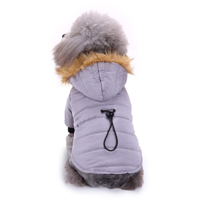 Cozy Winter Clothing for Your Beloved Pets