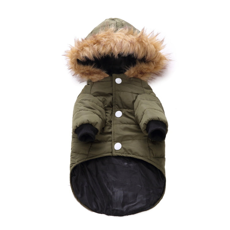 Cozy Winter Clothing for Your Beloved Pets