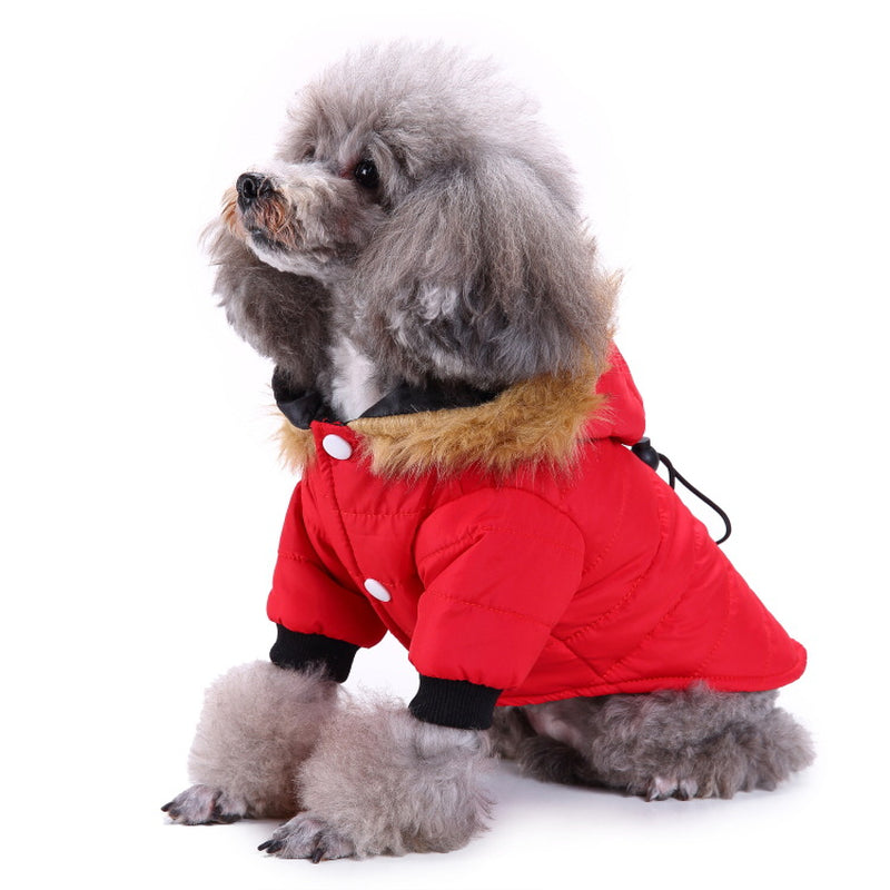 Cozy Winter Clothing for Your Beloved Pets