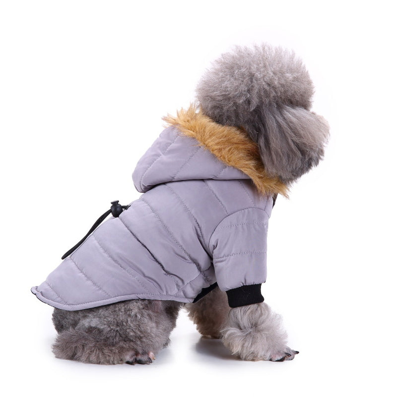 Cozy Winter Clothing for Your Beloved Pets