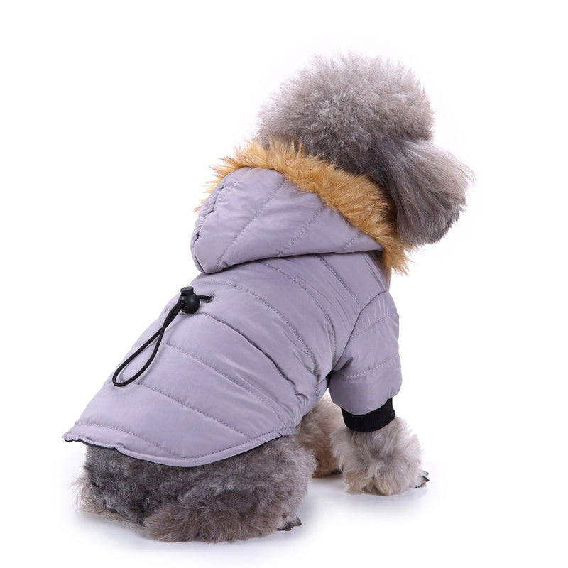 Cozy Winter Clothing for Your Beloved Pets