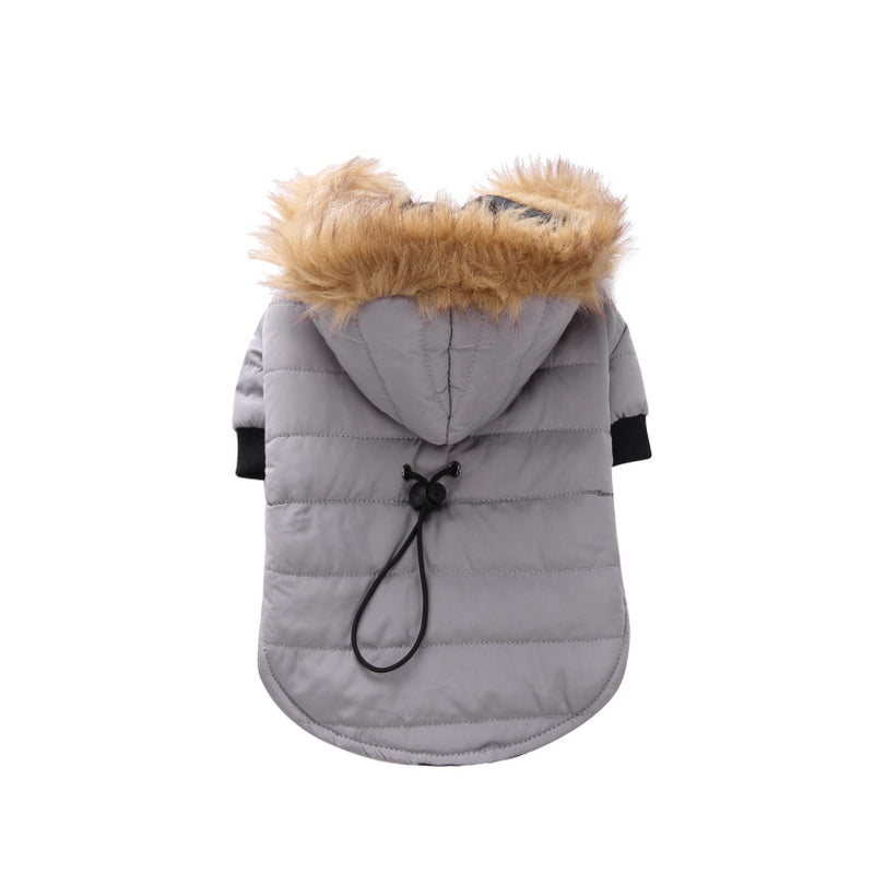 Cozy Winter Clothing for Your Beloved Pets